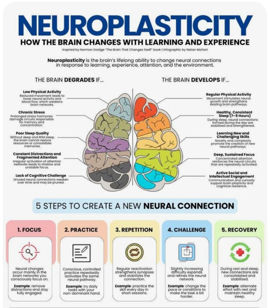 "how to network professionally weak ties
social capital strategy mindnesto"