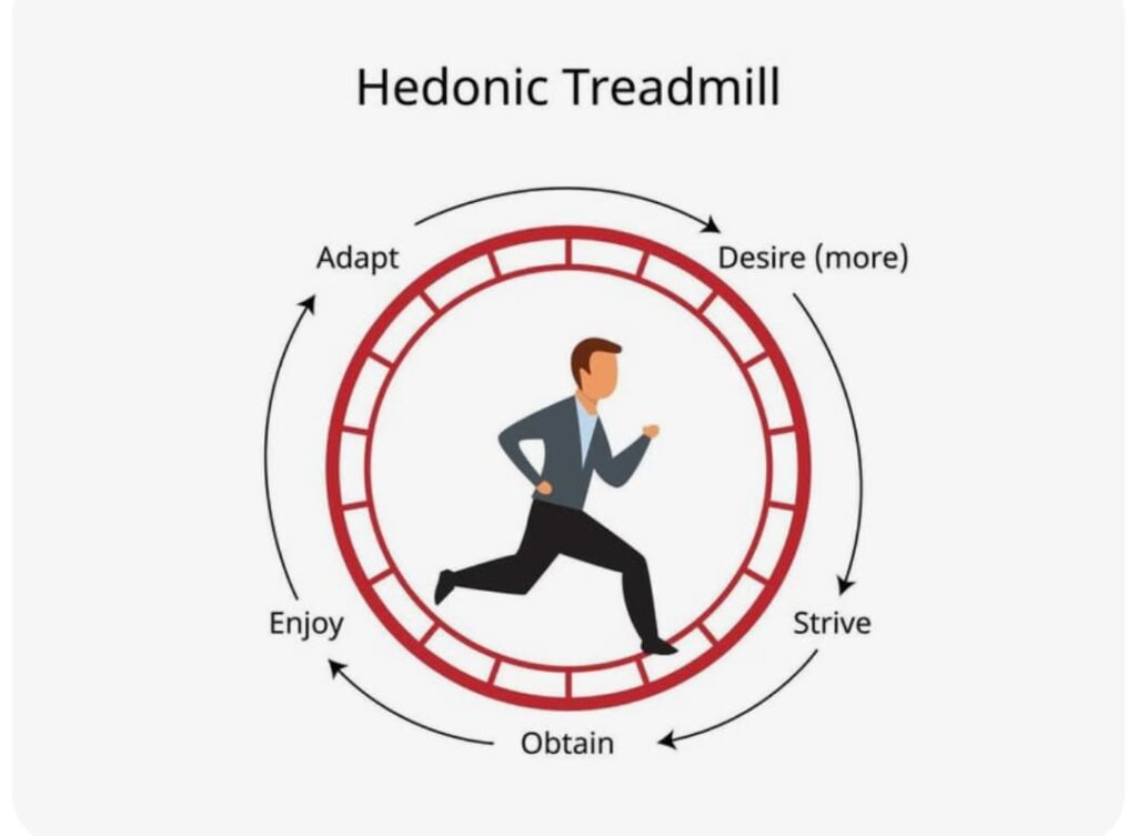 Hedonic Adaptation:What You Want Never Makes You as Happy